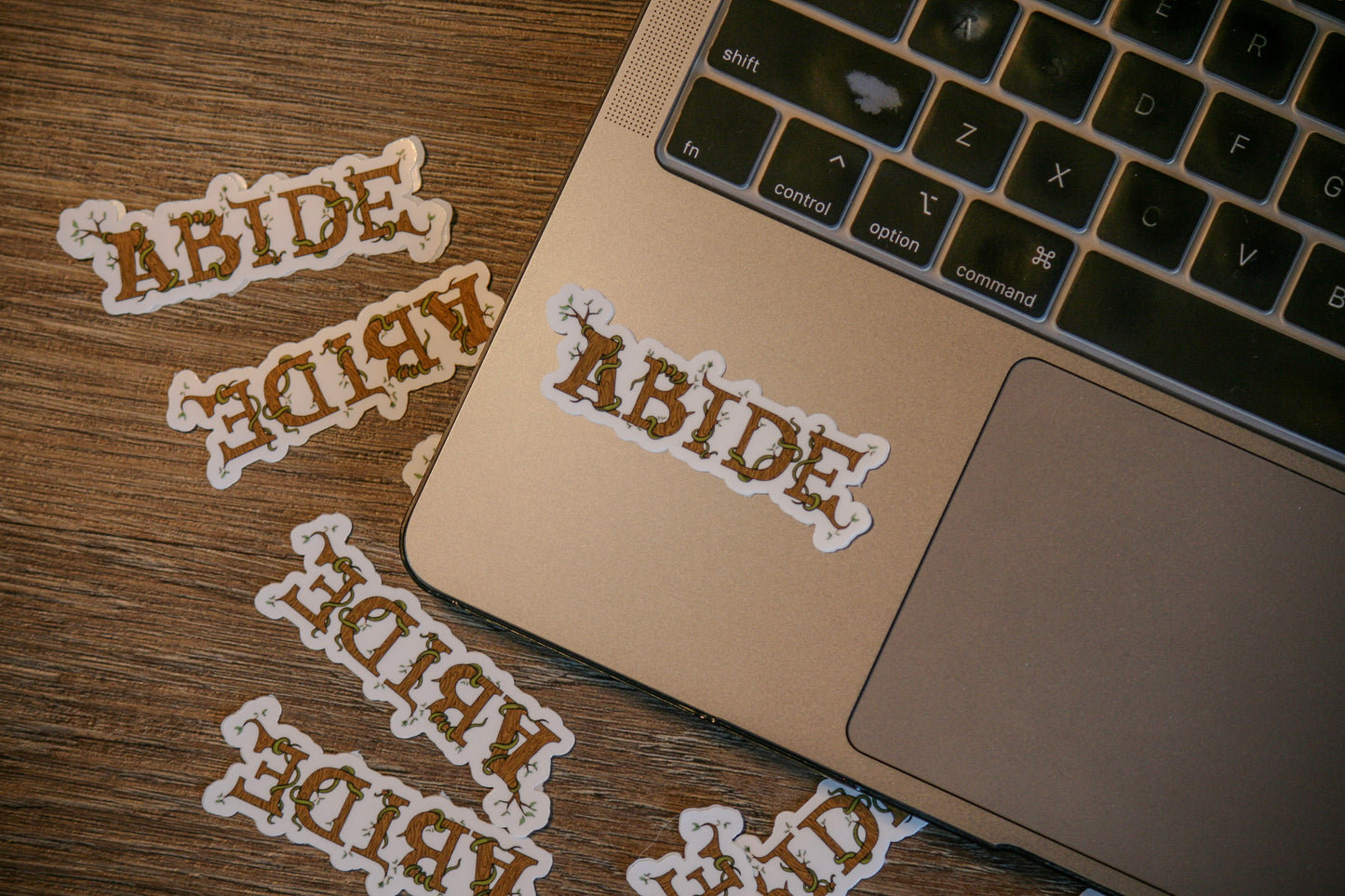 Abide in Christ Sticker