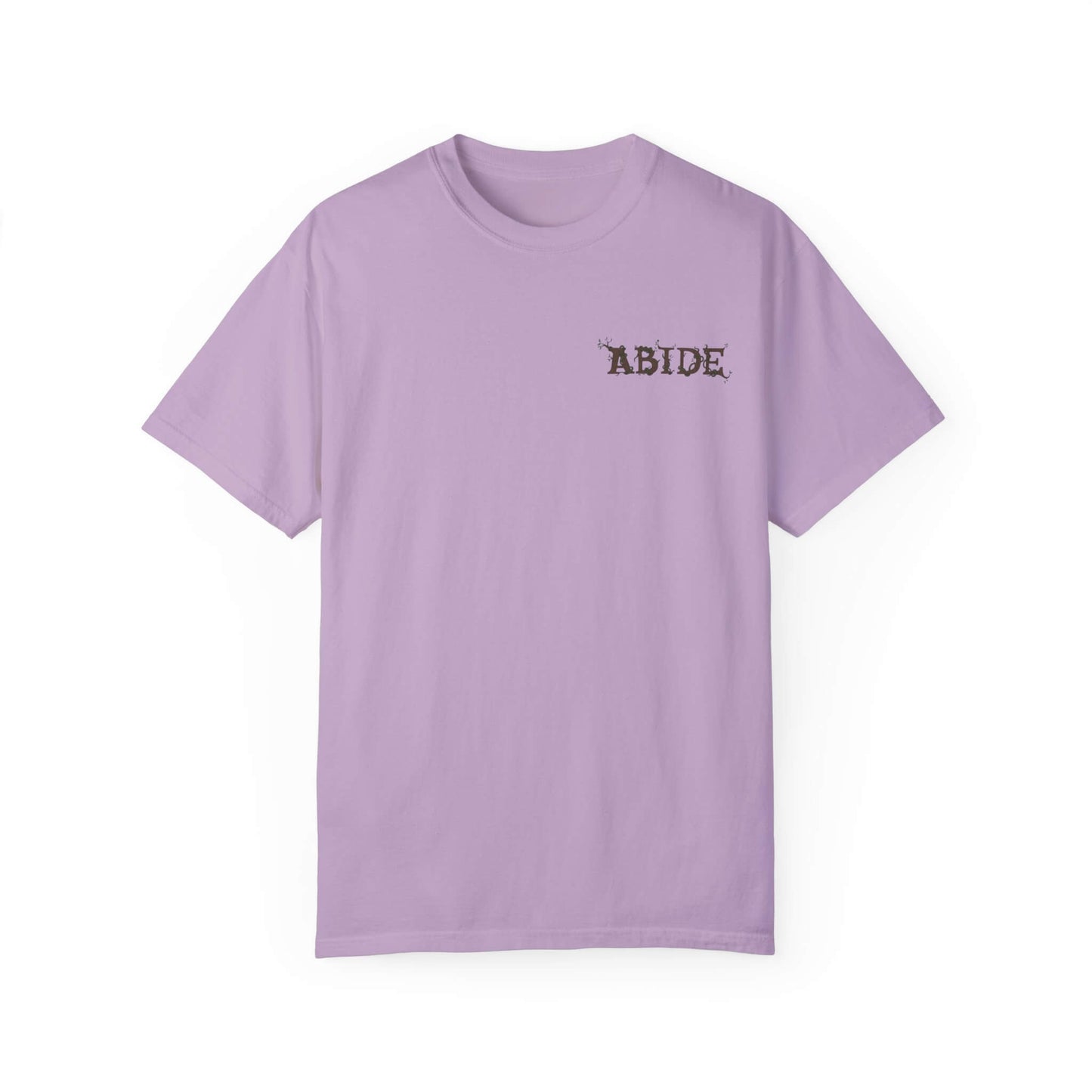 Abide Unisex Christian Tee